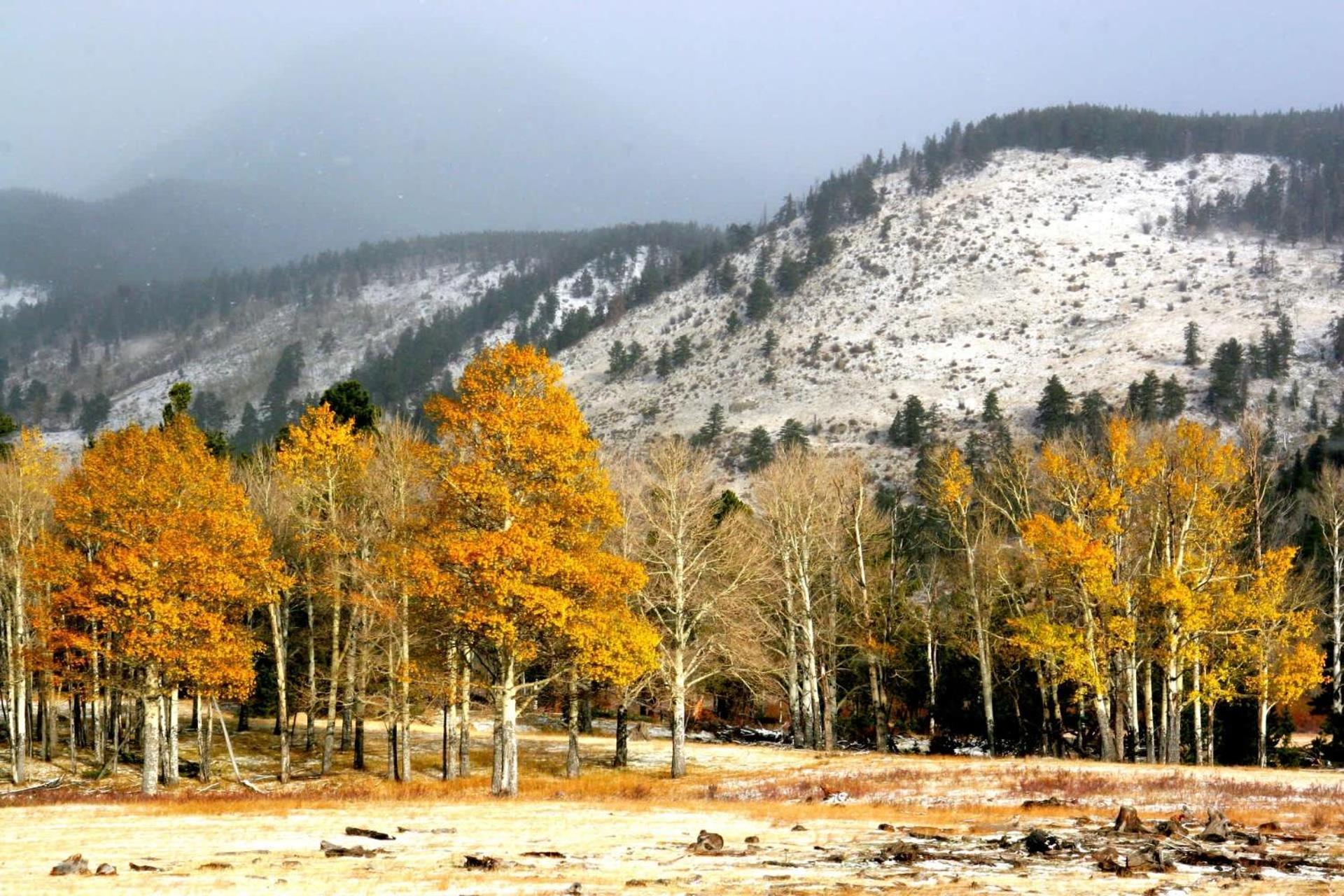 New Listing 2Br 2Ba Condo - Mountain Views Aspen Luaran gambar