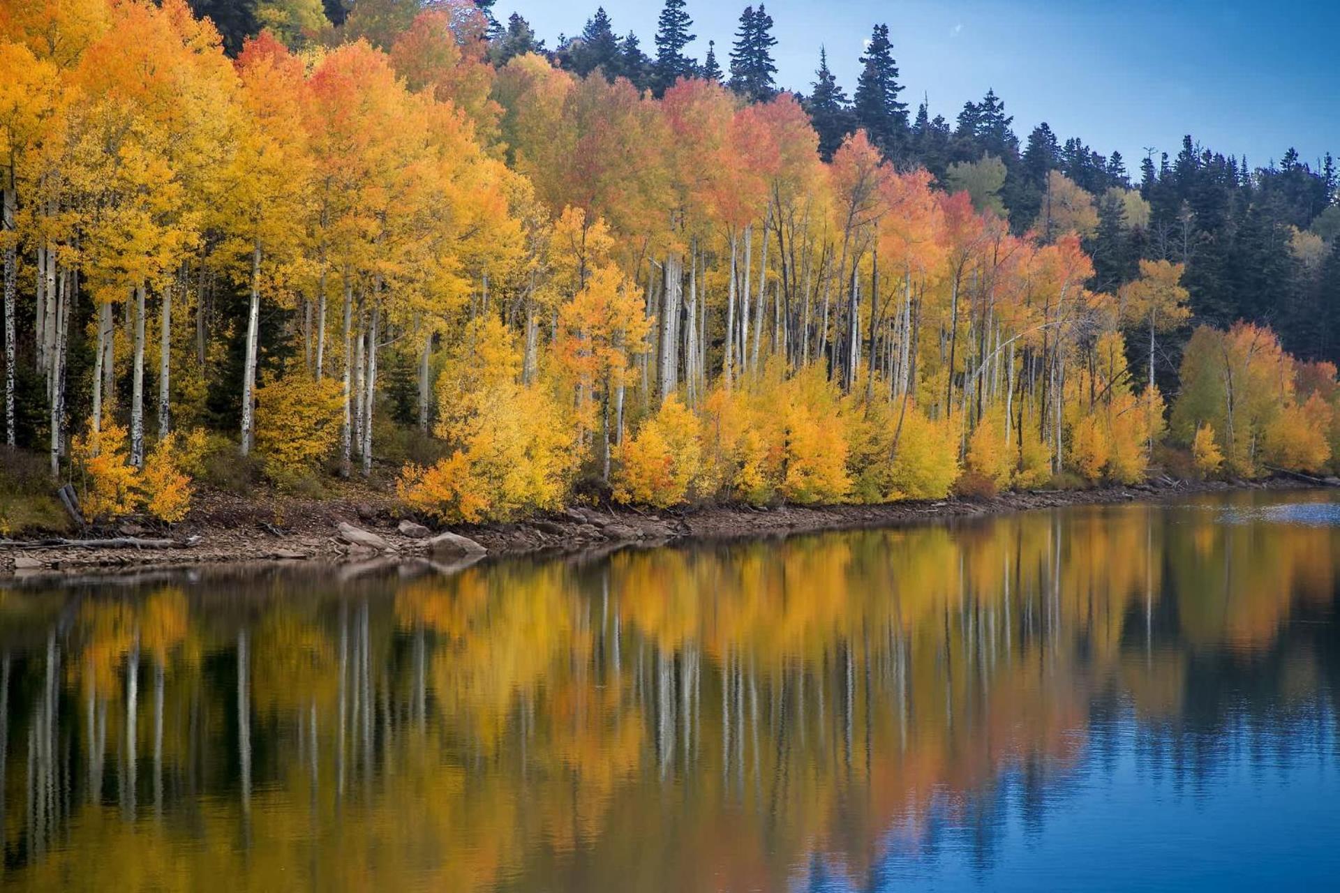 New Listing 2Br 2Ba Condo - Mountain Views Aspen Luaran gambar